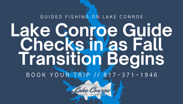 Lake Conroe guide checks in as fall transition begins